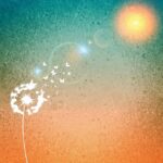 Pusteblumen Ritual